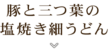 豚と三つ葉の塩焼き細うどん